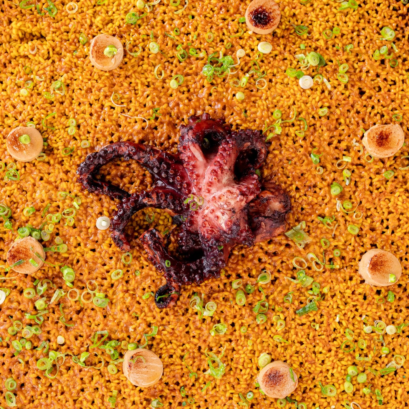 kike_chef-38.jpg kike_chef-38.jpg