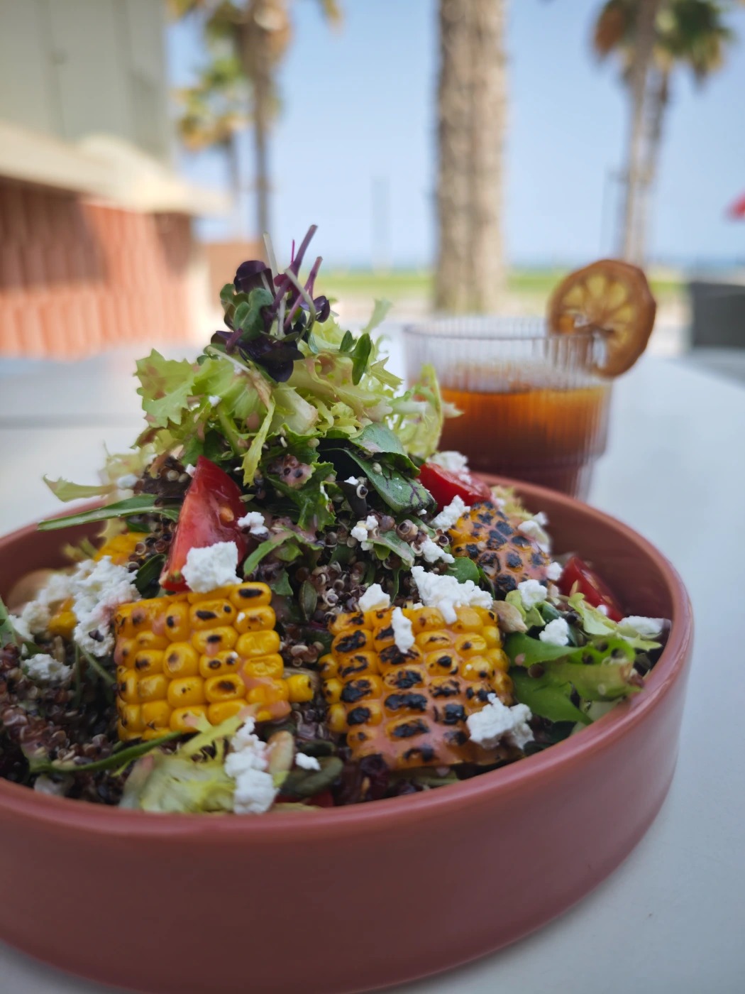 1000177447.jpg 1000177447.jpg