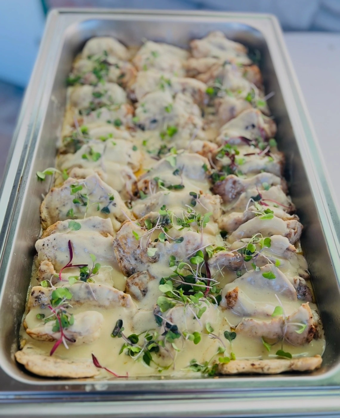 Chicken.jpg Chicken.jpg