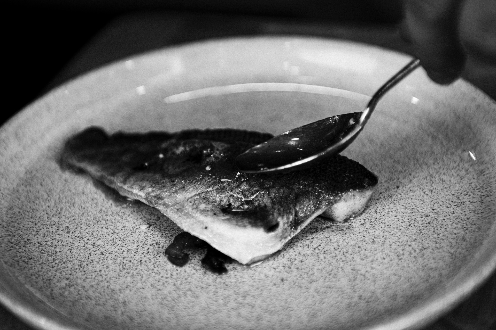 _DSC0842.jpg _DSC0842.jpg