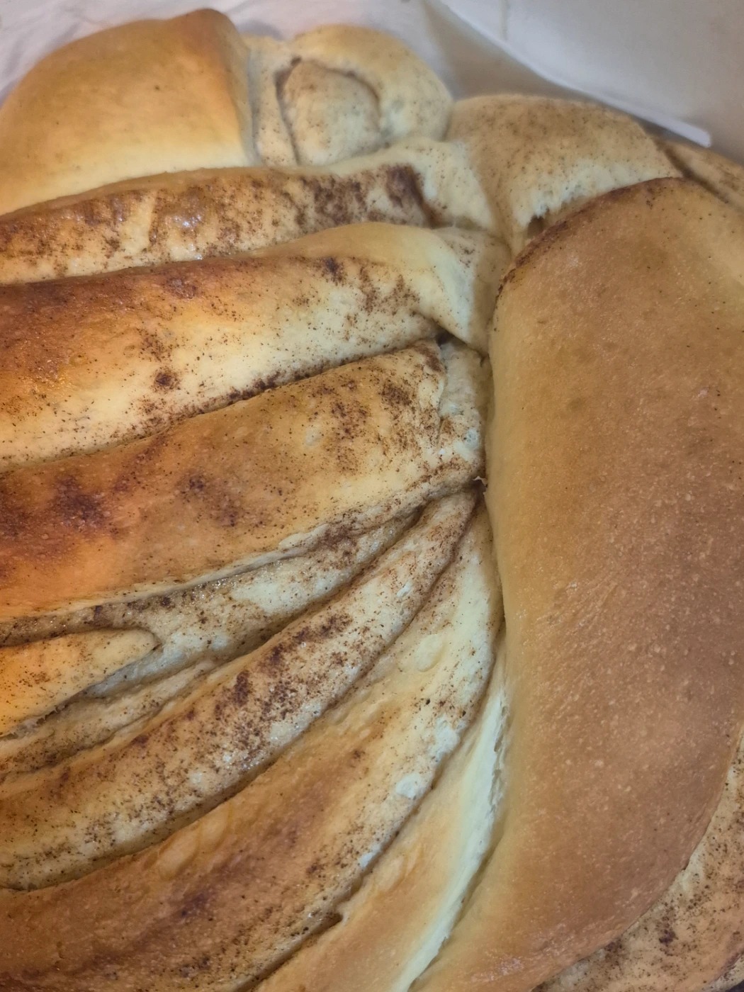 1000002871.jpg 1000002871.jpg