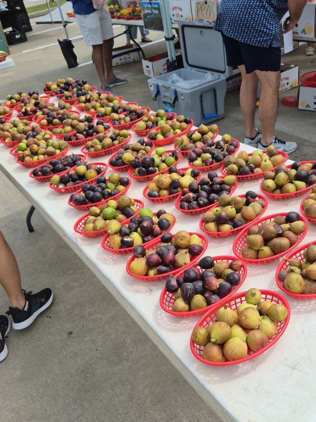 1000002531.jpg 1000002531.jpg