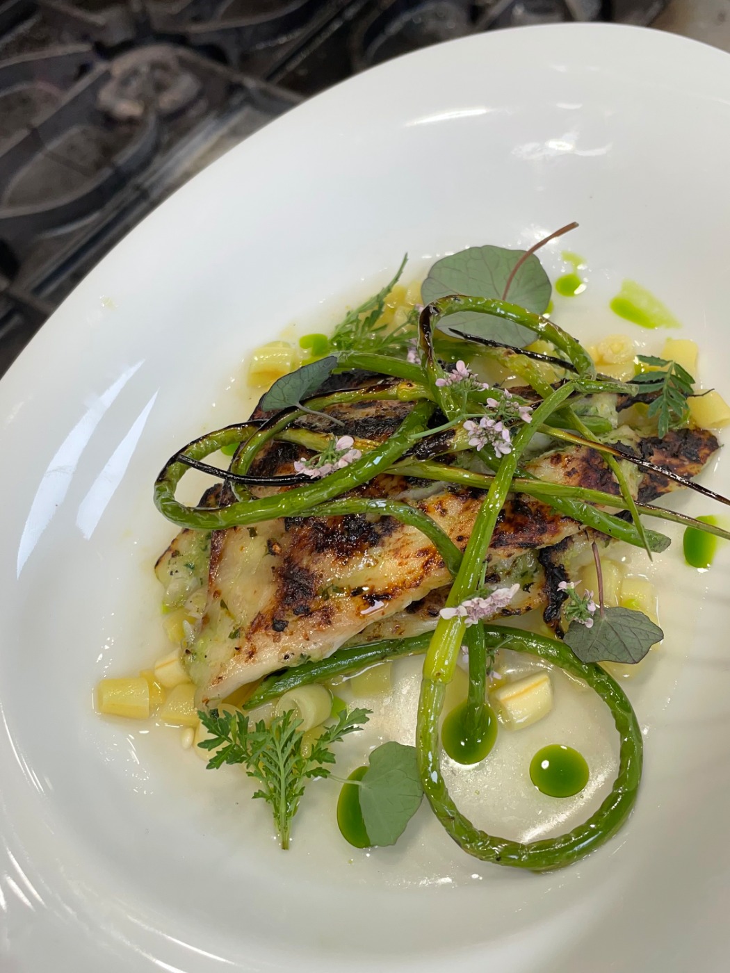 IMG_3194.jpeg IMG_3194.jpeg