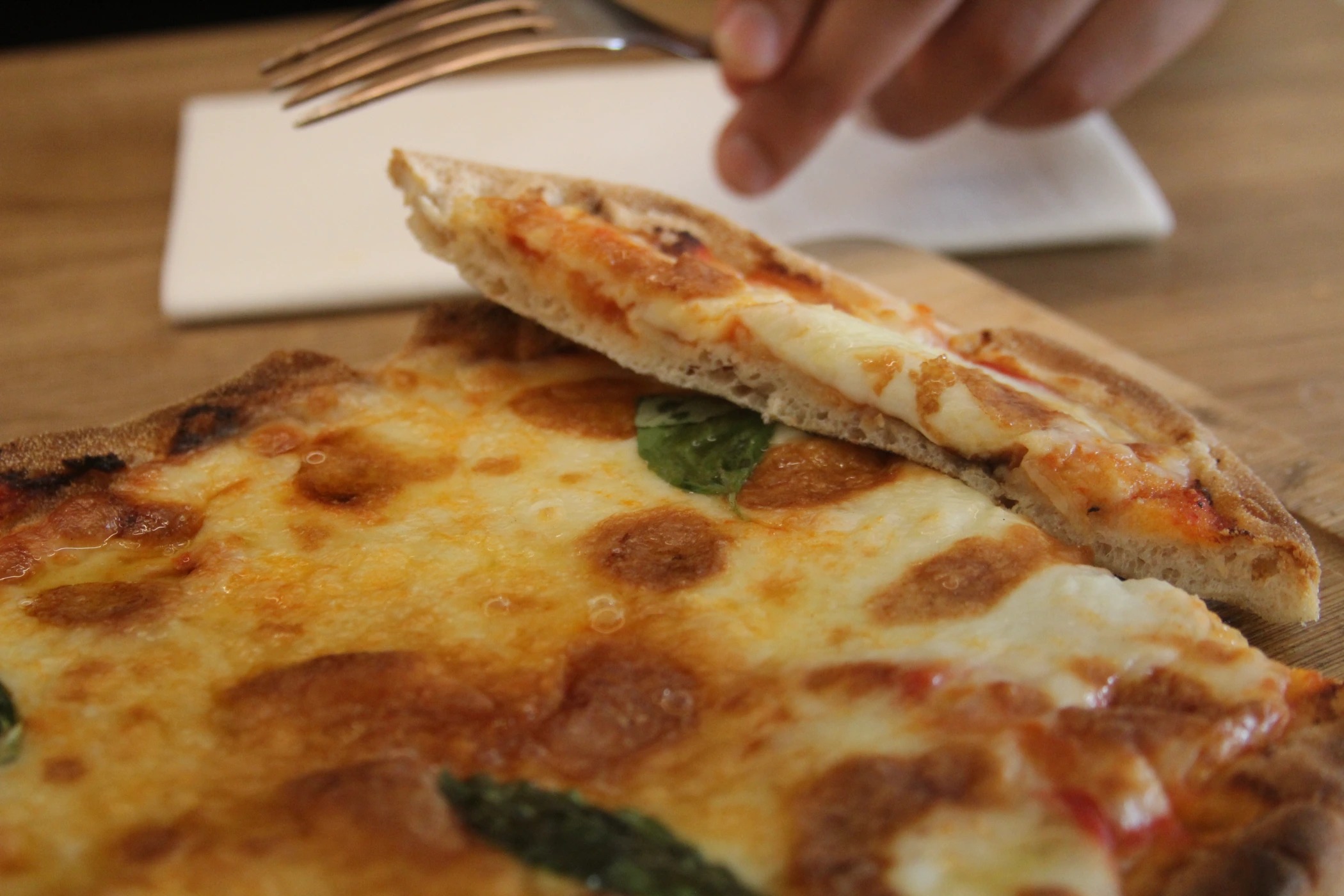 IMG_3065.JPG IMG_3065.JPG