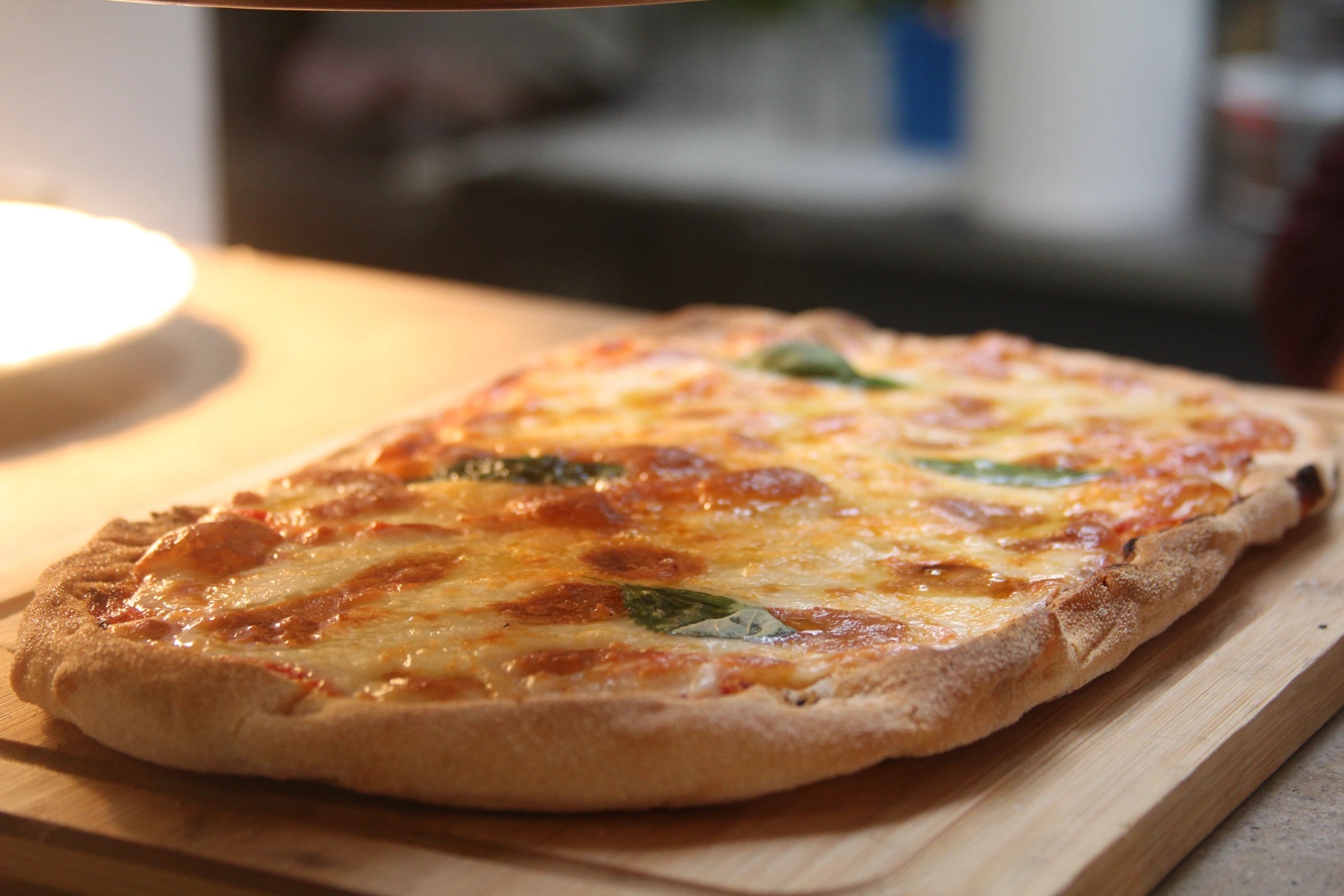 IMG_3037.JPG IMG_3037.JPG