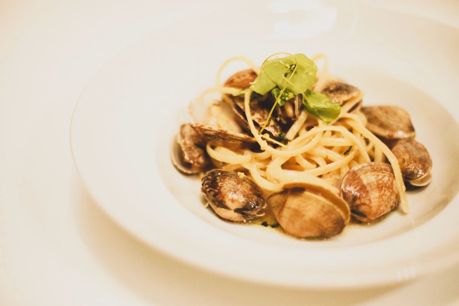 WhatsApp Image 2022-10-12 at 12.10.19 (2).jpeg WhatsApp Image 2022-10-12 at 12.10.19 (2).jpeg