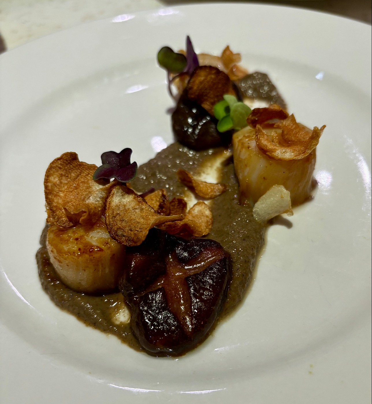 IMG_7875.jpeg IMG_7875.jpeg