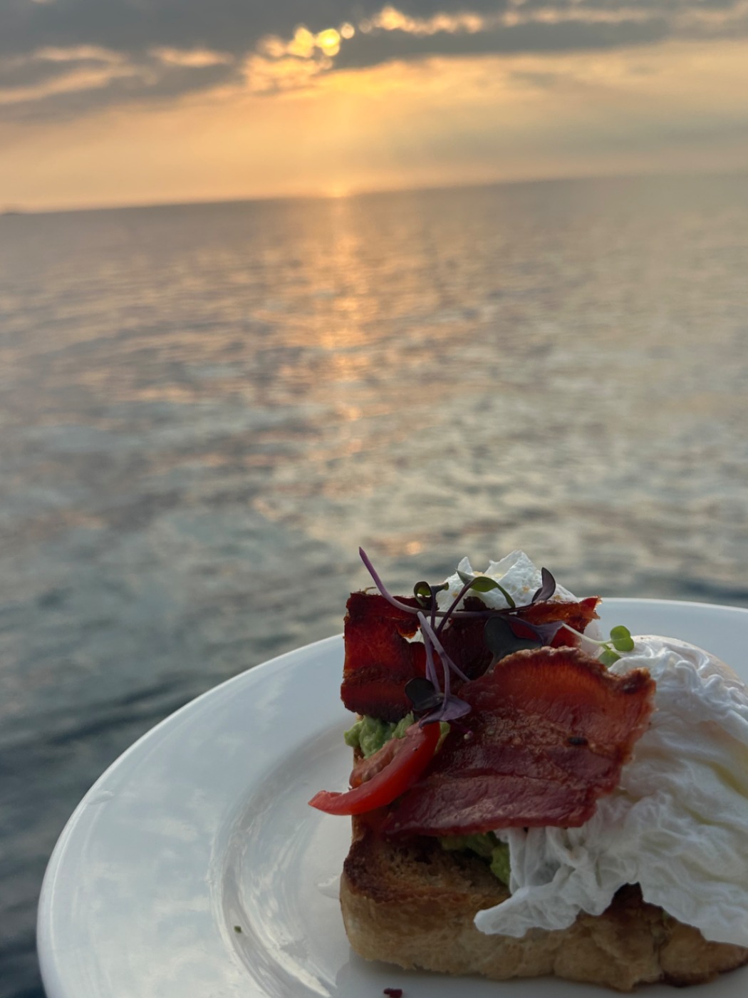 IMG_1557.jpeg IMG_1557.jpeg