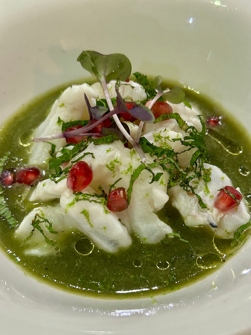 IMG_1535.jpeg IMG_1535.jpeg