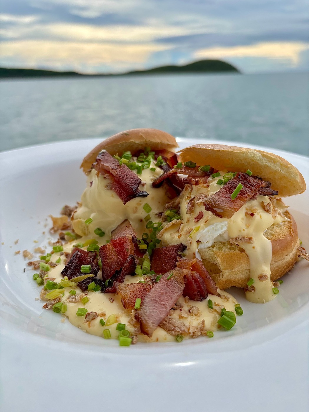 IMG_8412.jpeg IMG_8412.jpeg