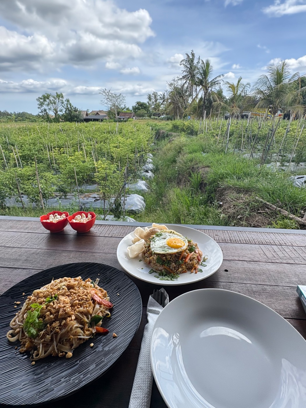 IMG_4725.jpeg IMG_4725.jpeg