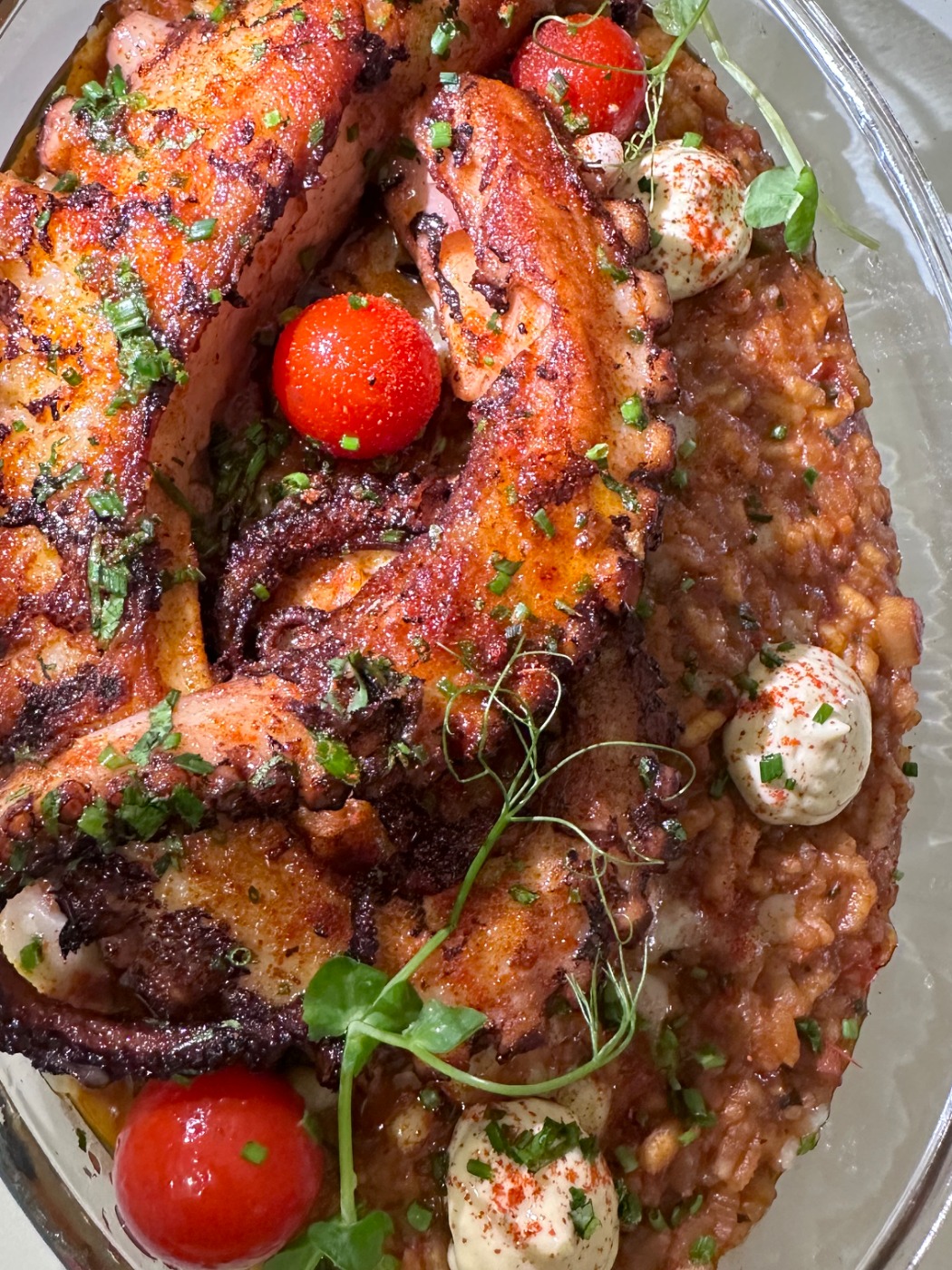 IMG_9711.jpeg IMG_9711.jpeg