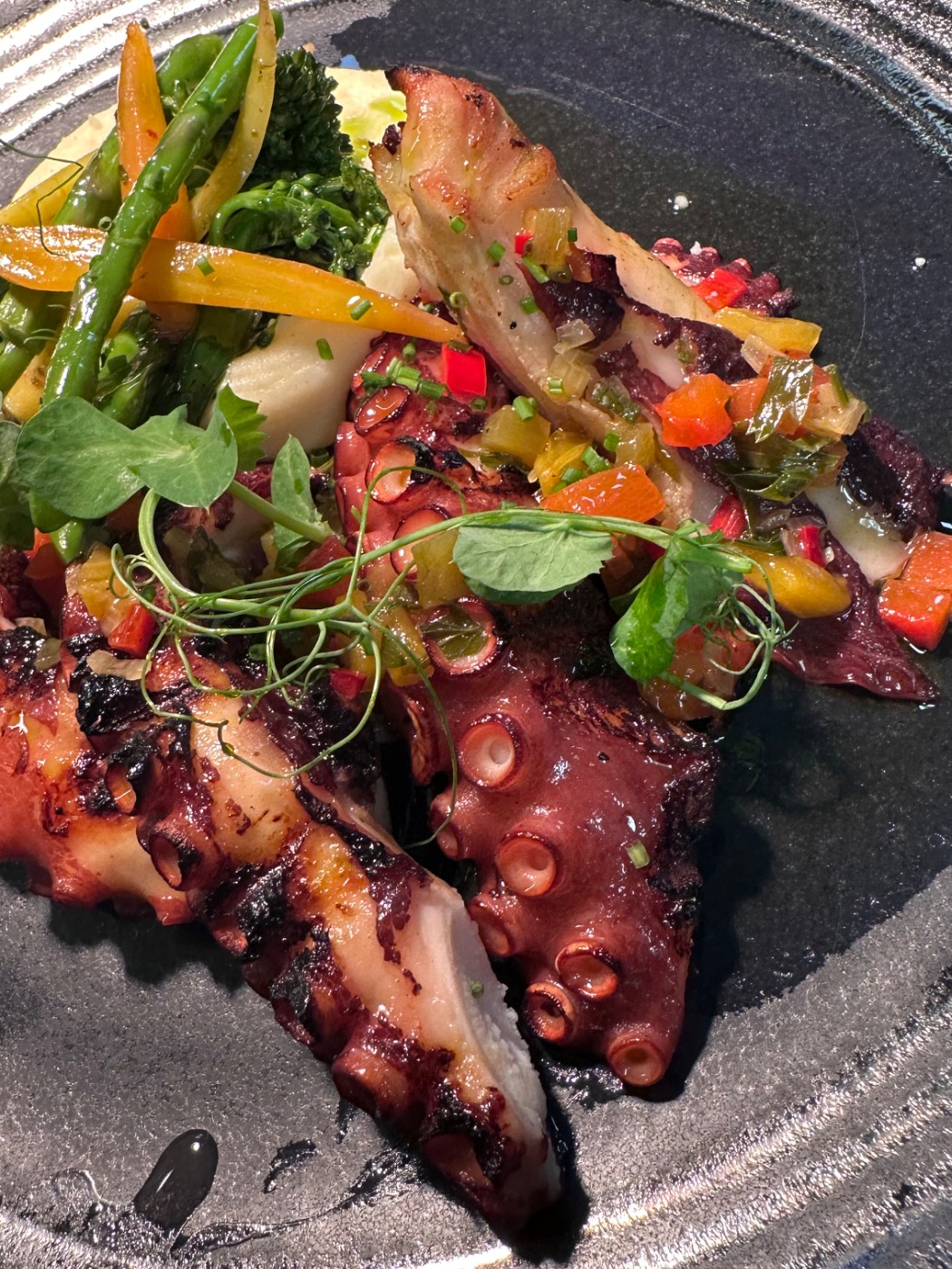 IMG_3049.jpeg IMG_3049.jpeg