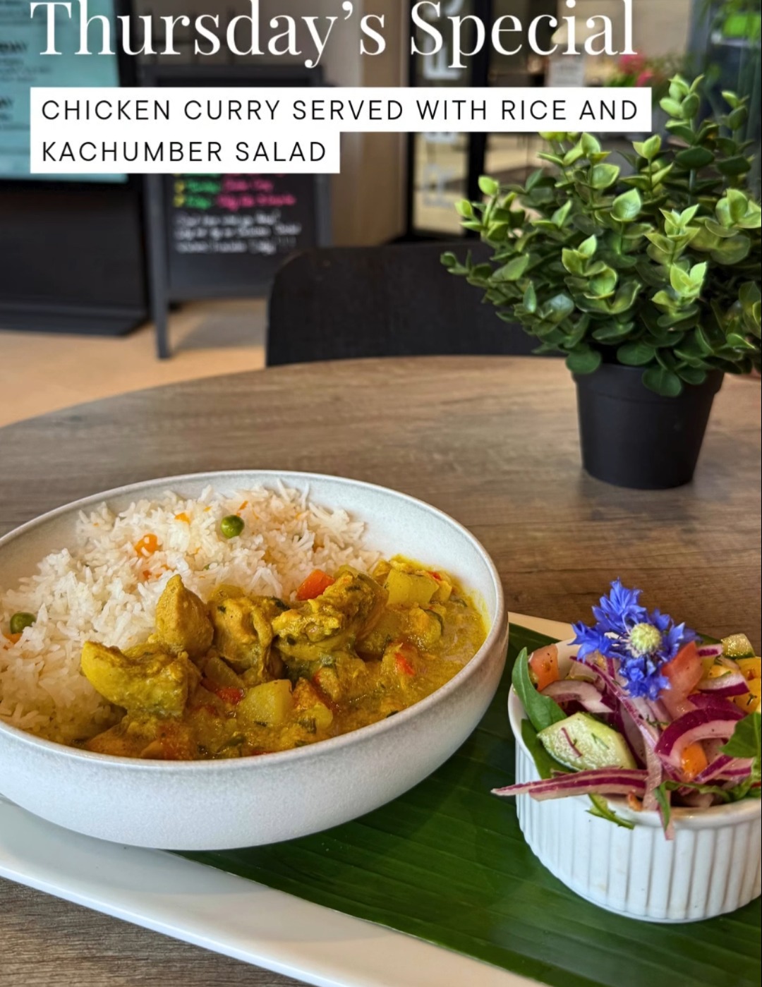 IMG_6964.jpeg IMG_6964.jpeg