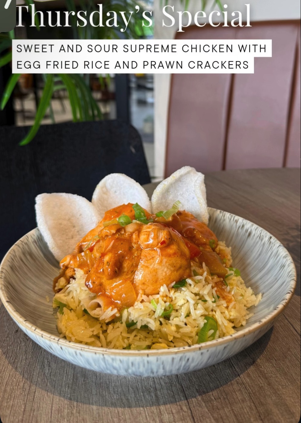 IMG_6349.jpeg IMG_6349.jpeg