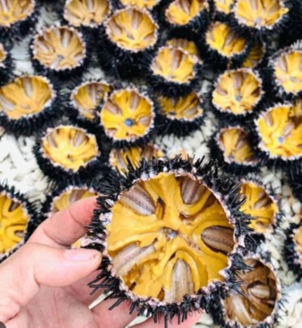 1000028232.jpg 1000028232.jpg