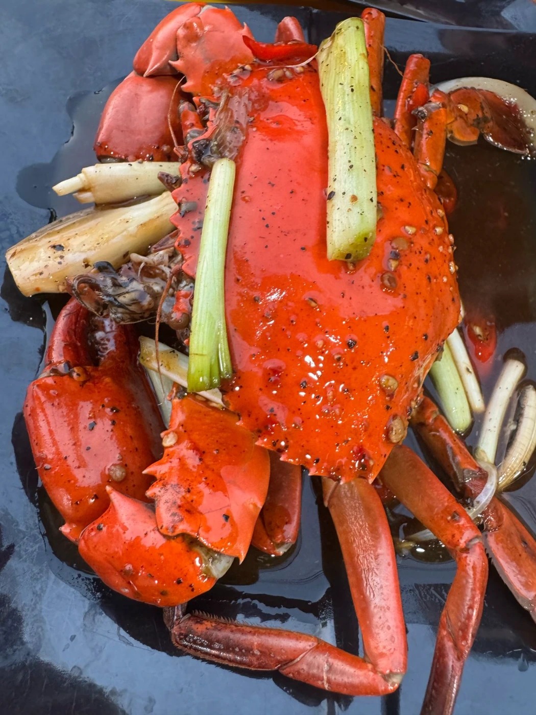 1000028588.jpg 1000028588.jpg