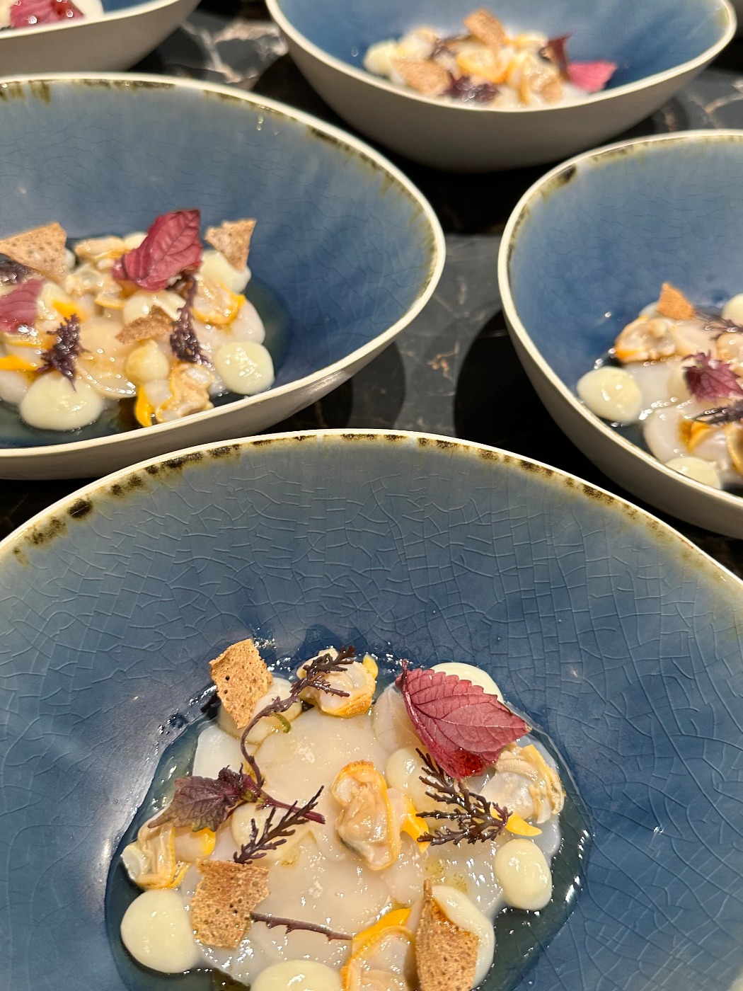 IMG_5381.jpeg IMG_5381.jpeg