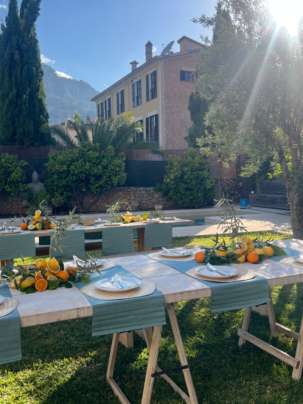 IMG_5969.jpeg IMG_5969.jpeg