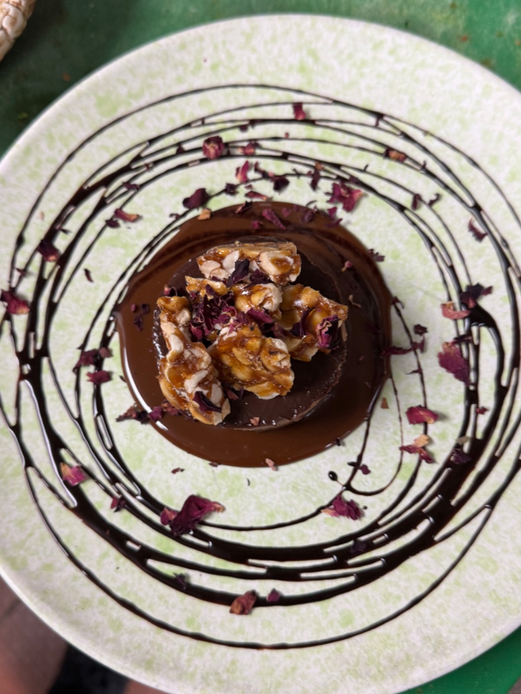 IMG_0513.jpeg IMG_0513.jpeg