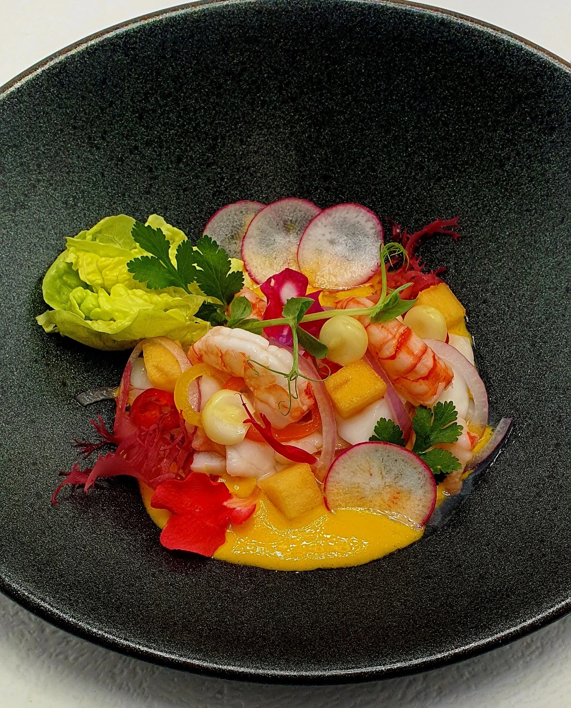 20221201_155004.jpg 20221201_155004.jpg