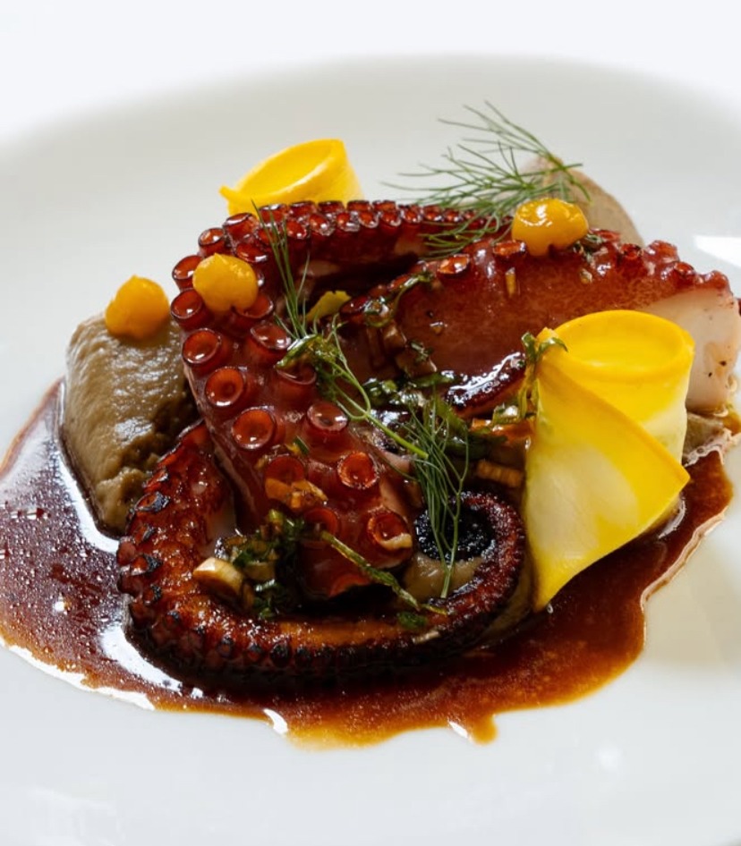 IMG_0972.jpeg IMG_0972.jpeg