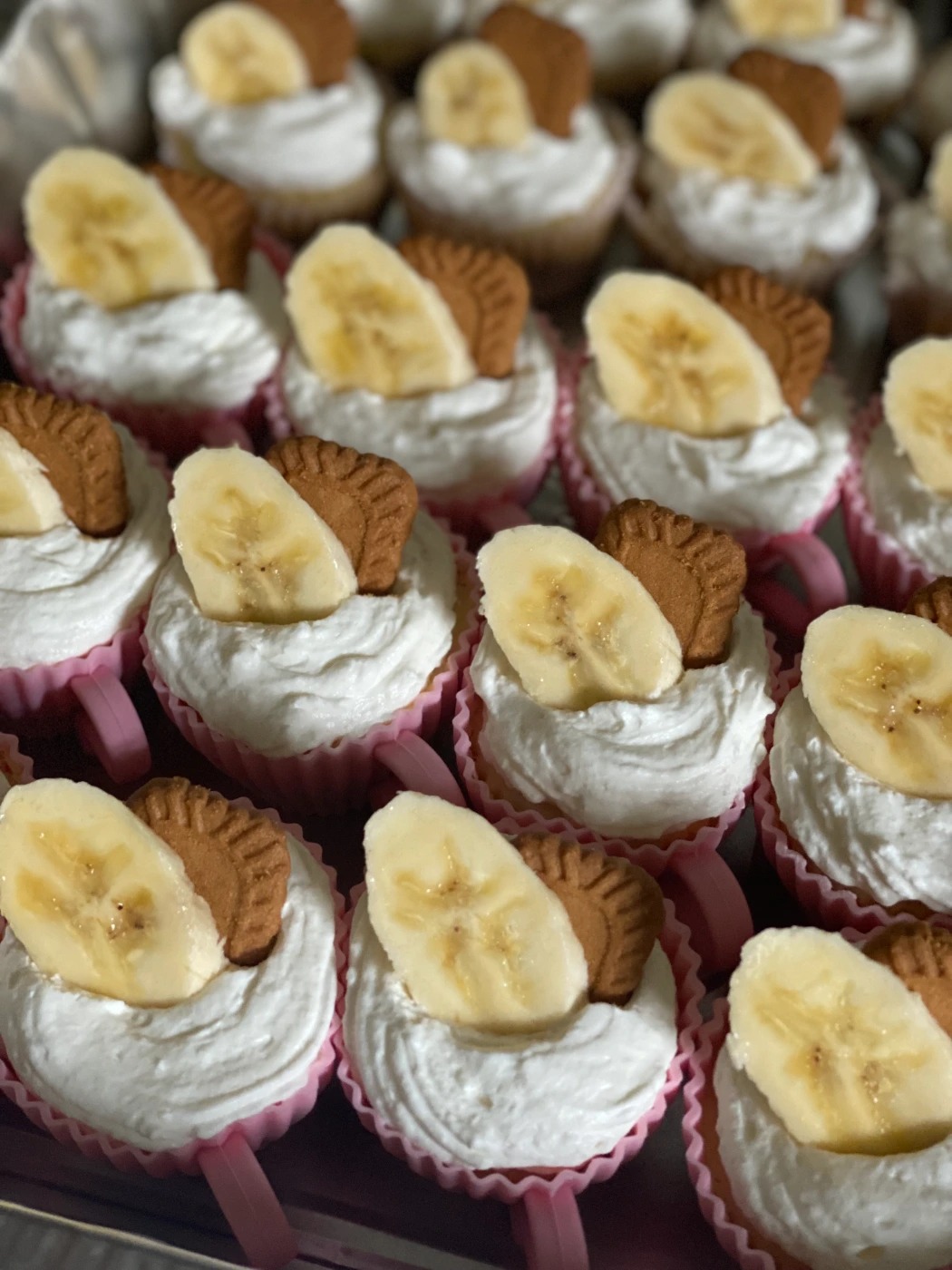 IMG_0350.JPEG IMG_0350.JPEG