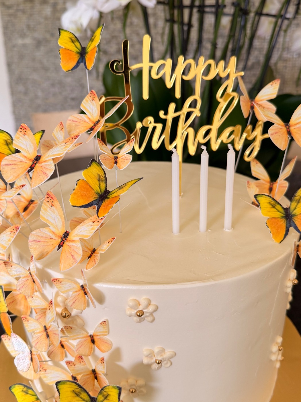 IMG_0796.jpeg IMG_0796.jpeg