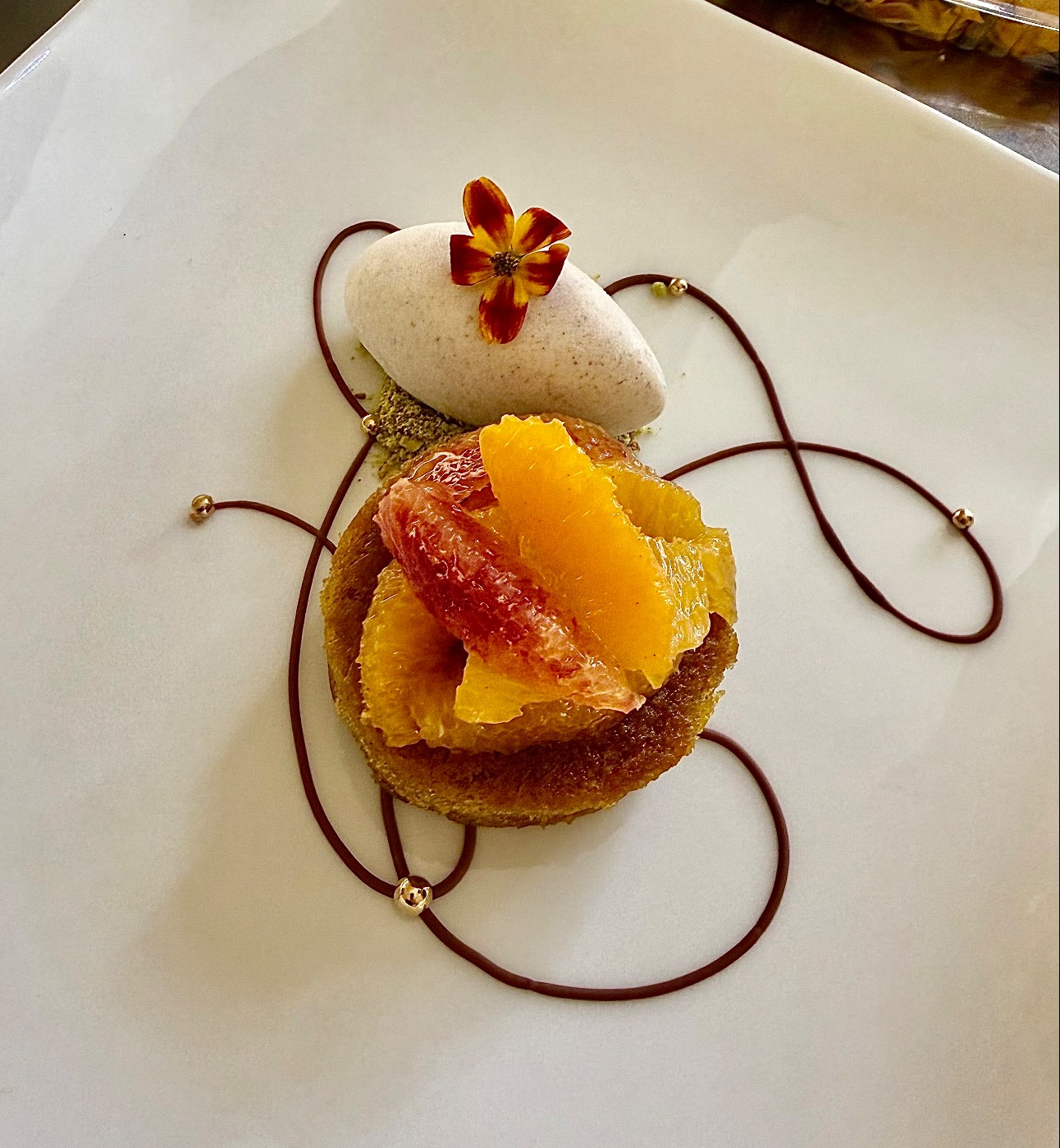 IMG_0171.jpeg IMG_0171.jpeg