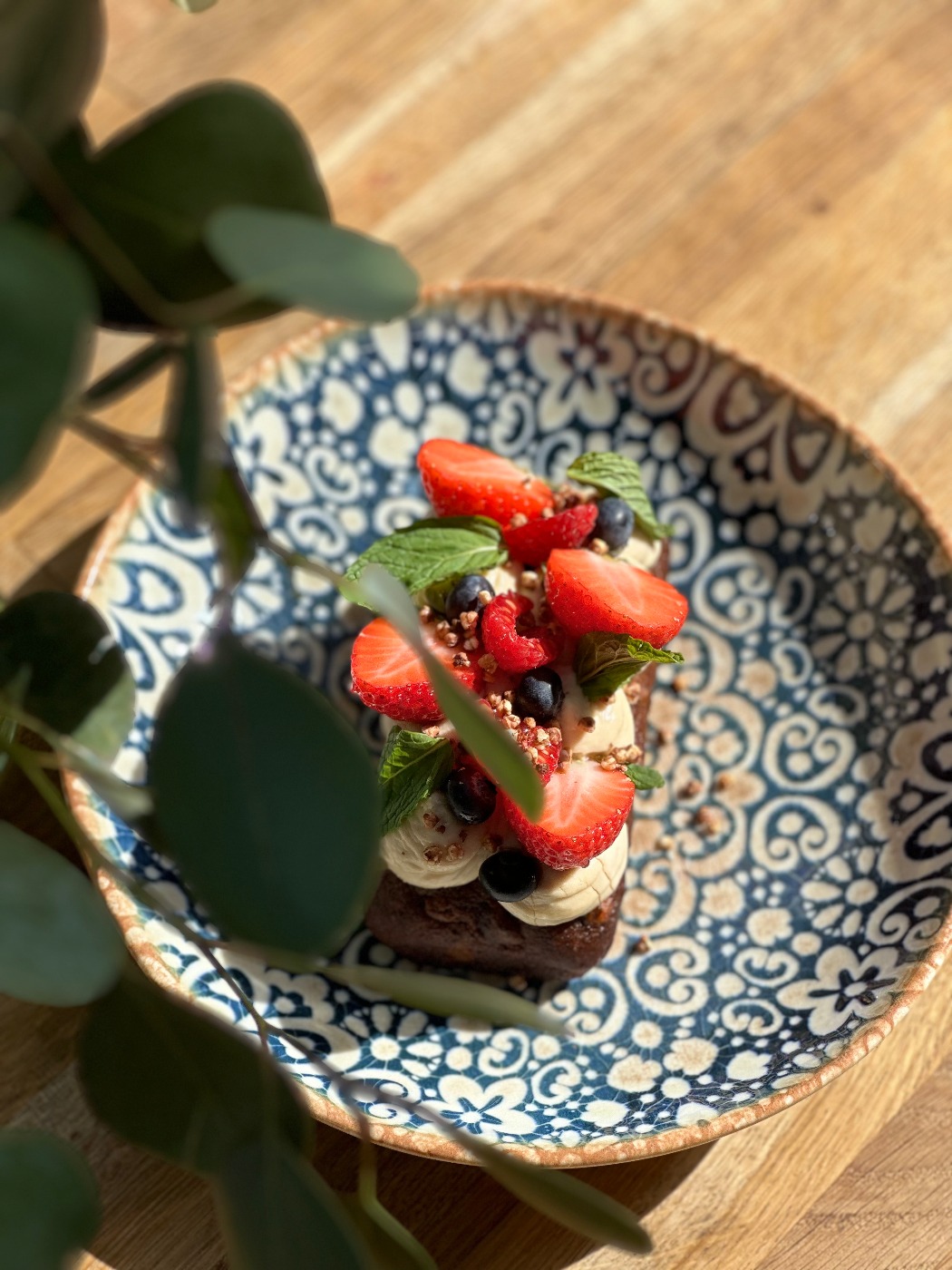 IMG_8556.jpeg IMG_8556.jpeg