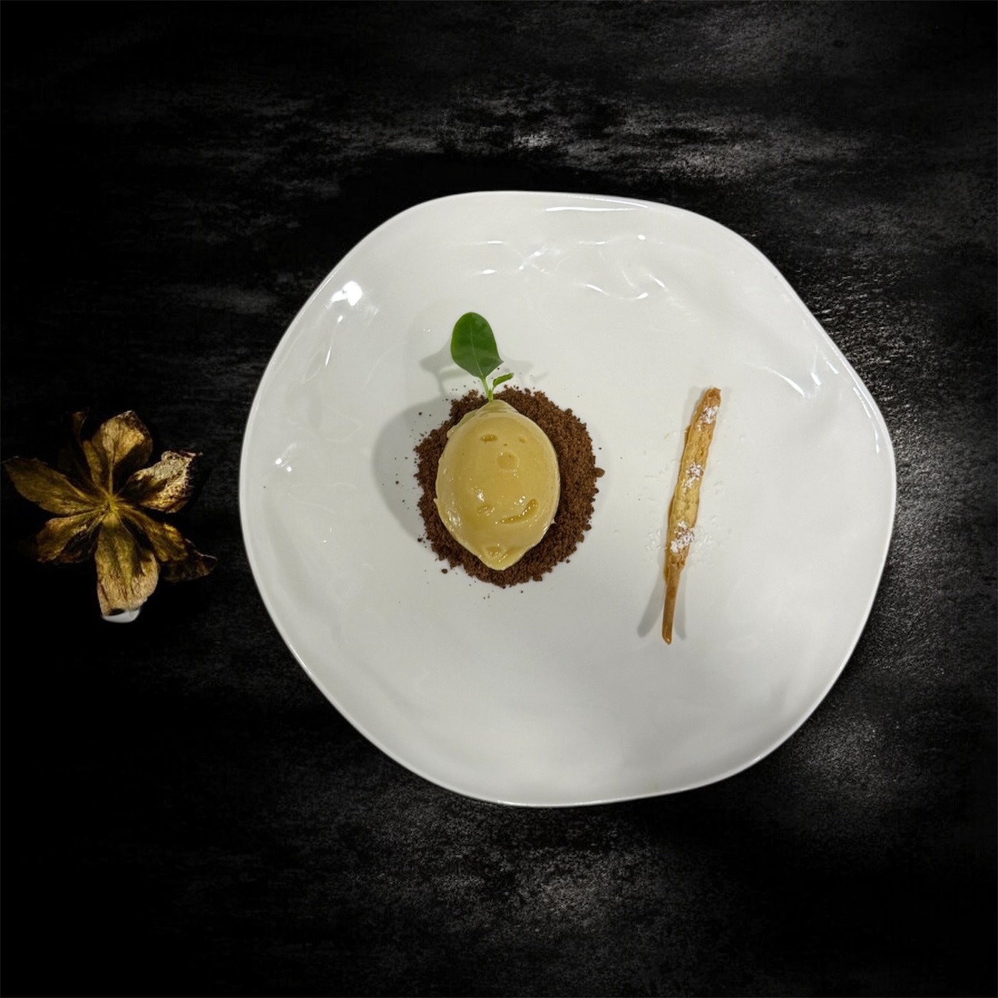 Photoroom_20251017_185755.jpeg Photoroom_20251017_185755.jpeg