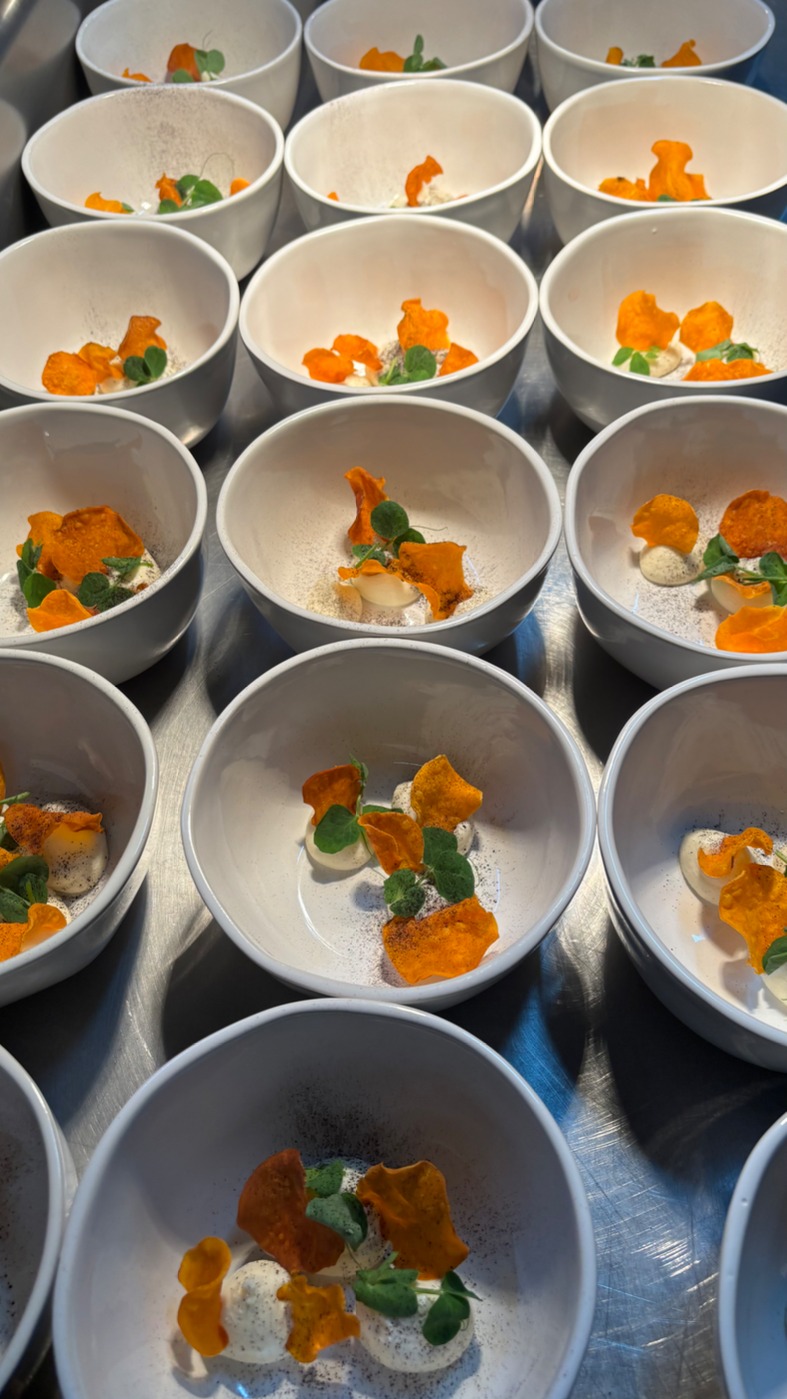 IMG_5144.jpeg IMG_5144.jpeg