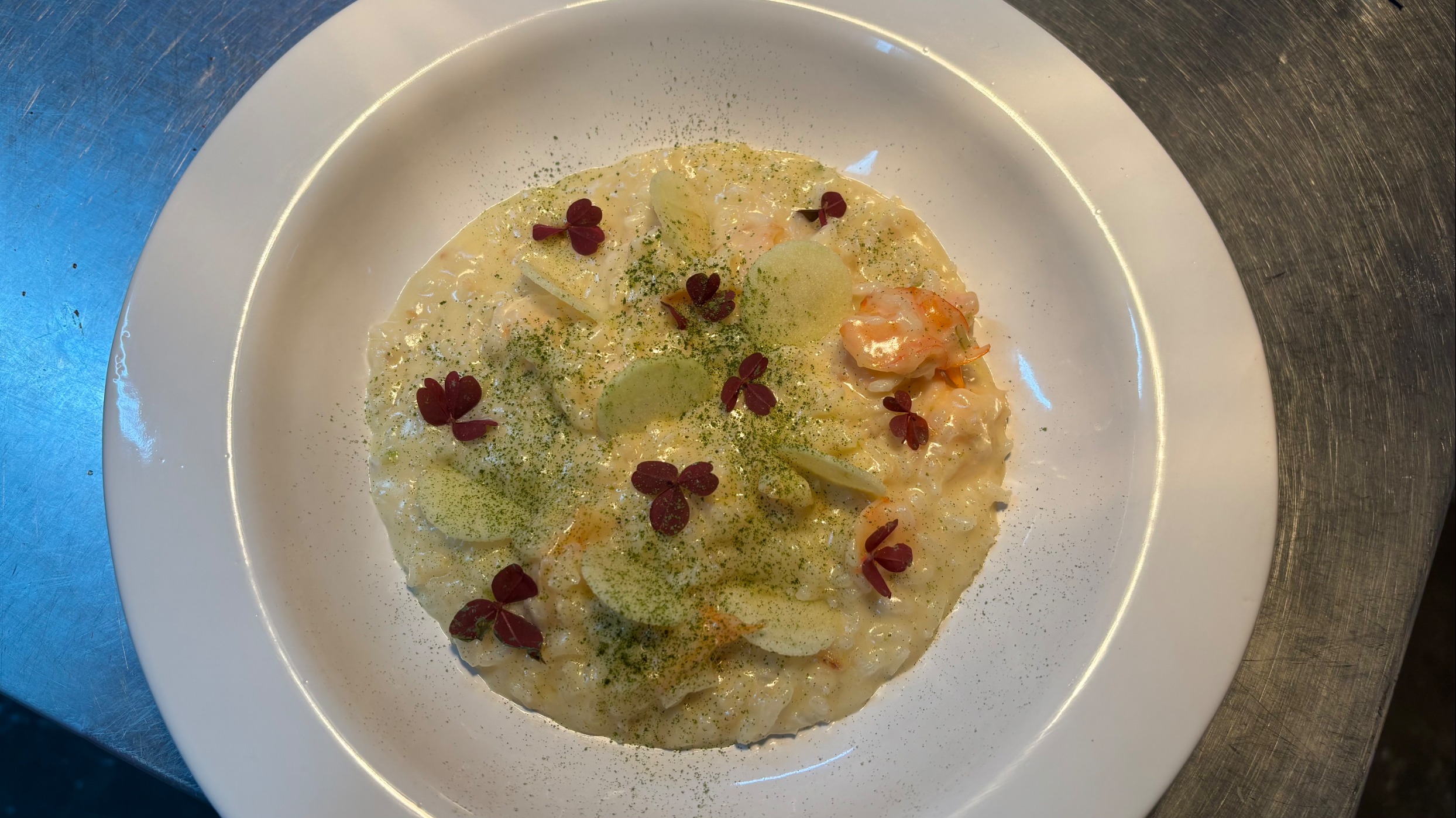 IMG_5283.jpeg IMG_5283.jpeg