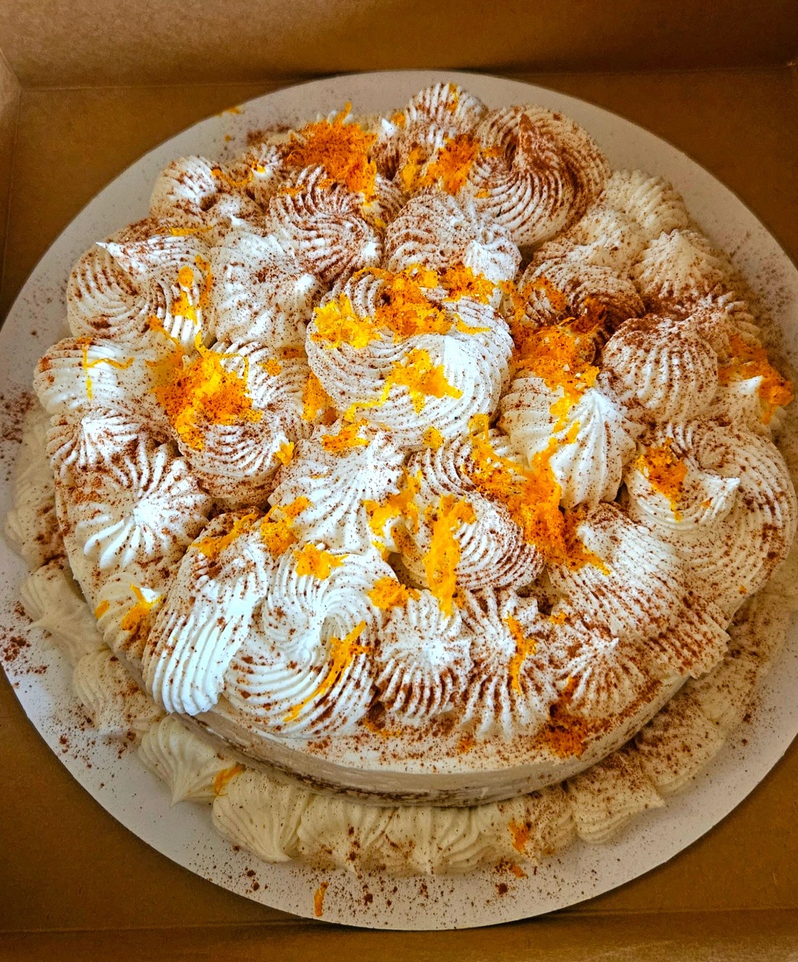 1000026534.jpg 1000026534.jpg