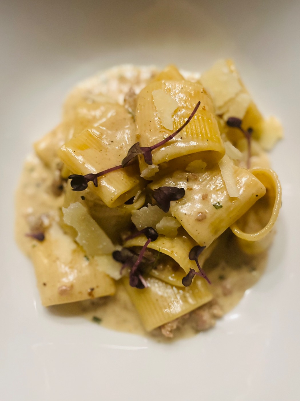 IMG_8224.jpeg IMG_8224.jpeg