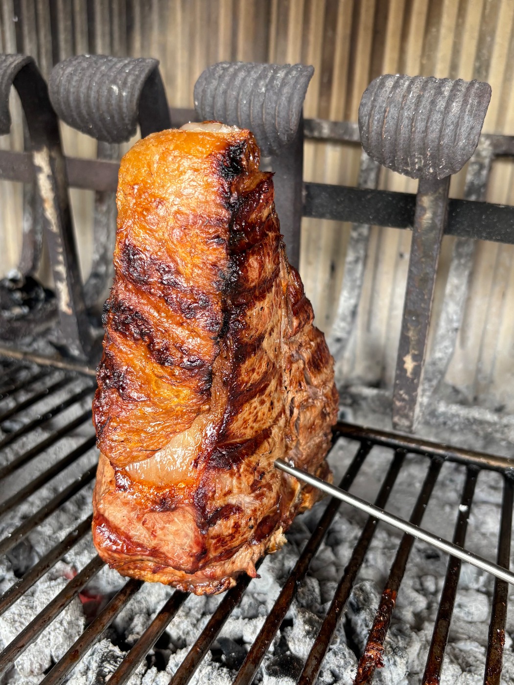 IMG_2494.jpeg IMG_2494.jpeg