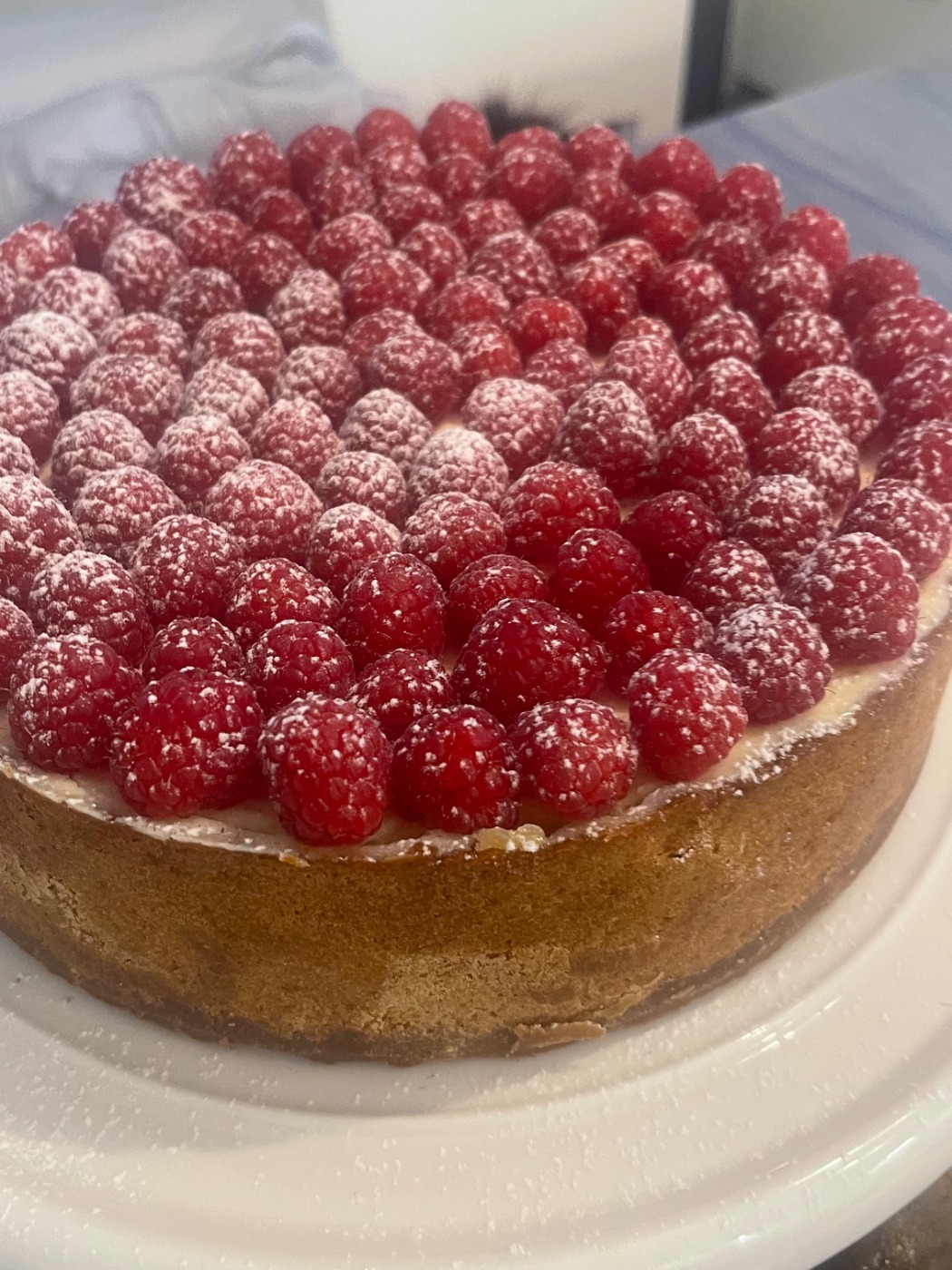 IMG_9767.jpeg IMG_9767.jpeg