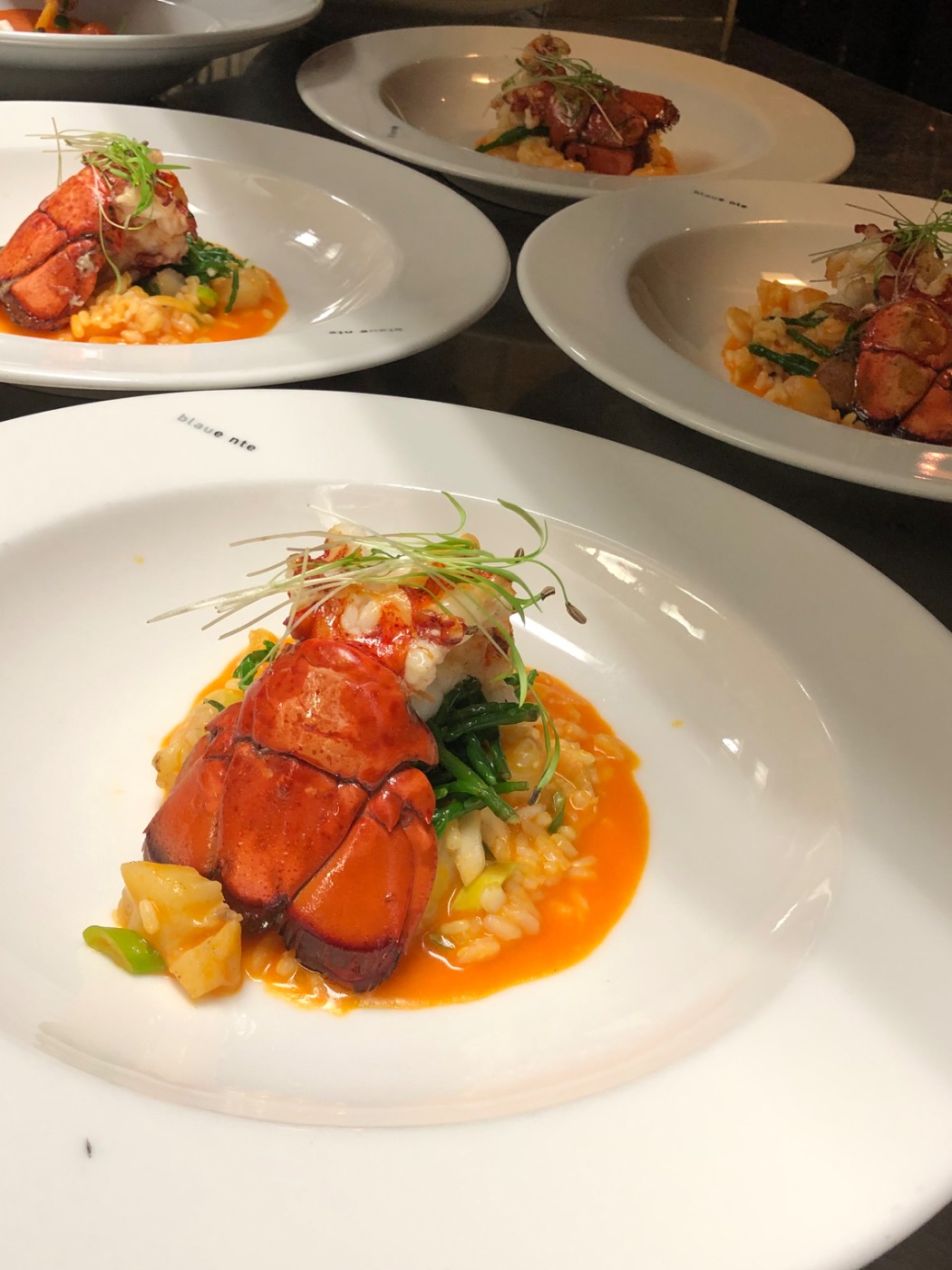 IMG_9583.jpeg IMG_9583.jpeg