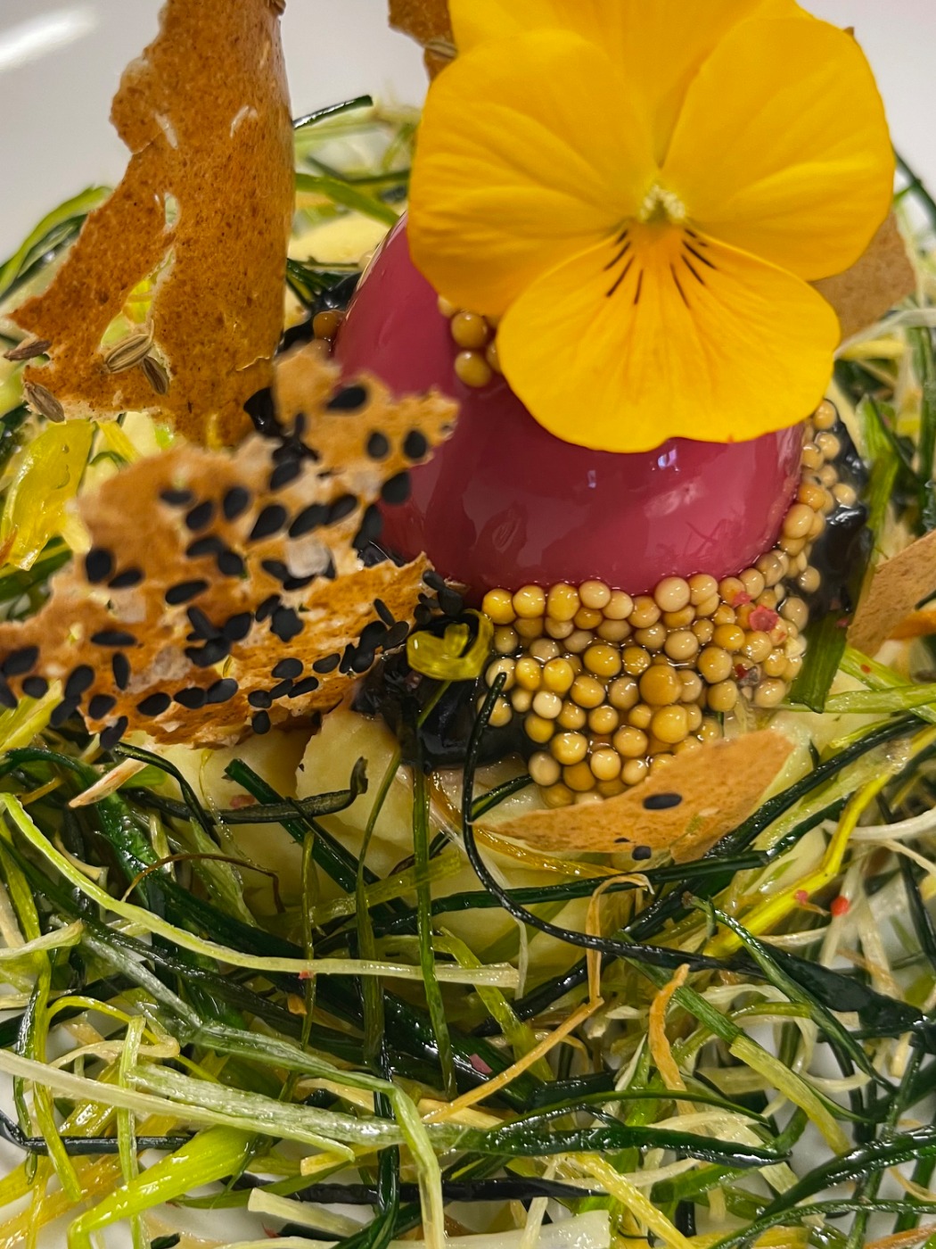 IMG_4764.jpeg IMG_4764.jpeg