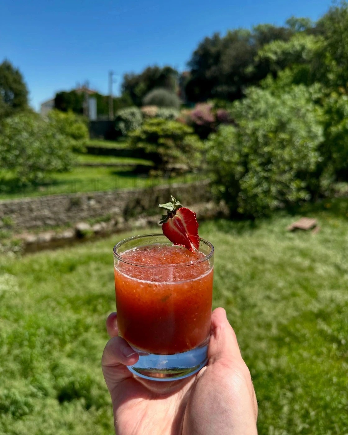 cocktail.jpg cocktail.jpg