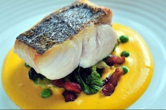 IMG_2075.jpeg IMG_2075.jpeg