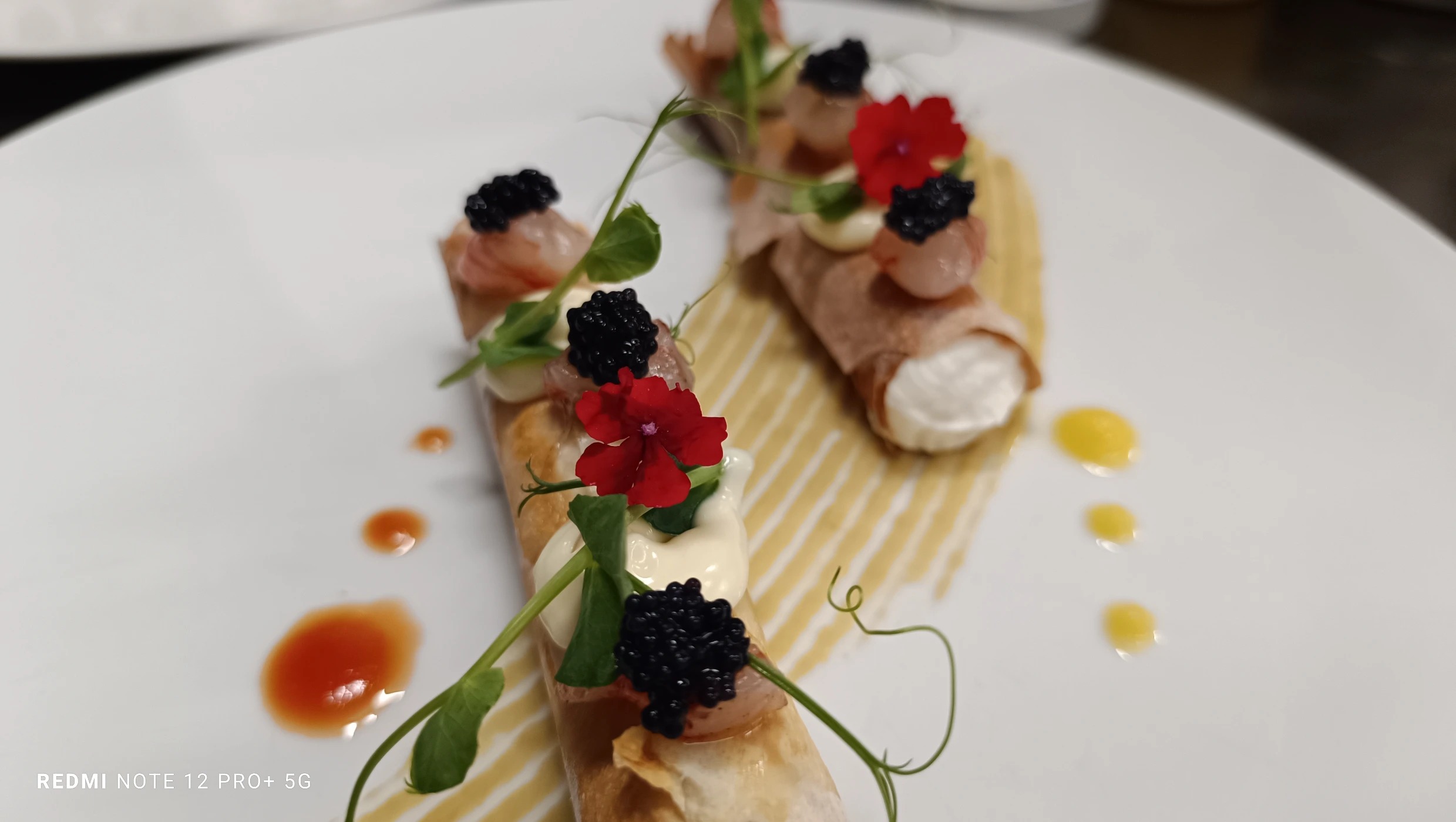 1000090346.jpg 1000090346.jpg