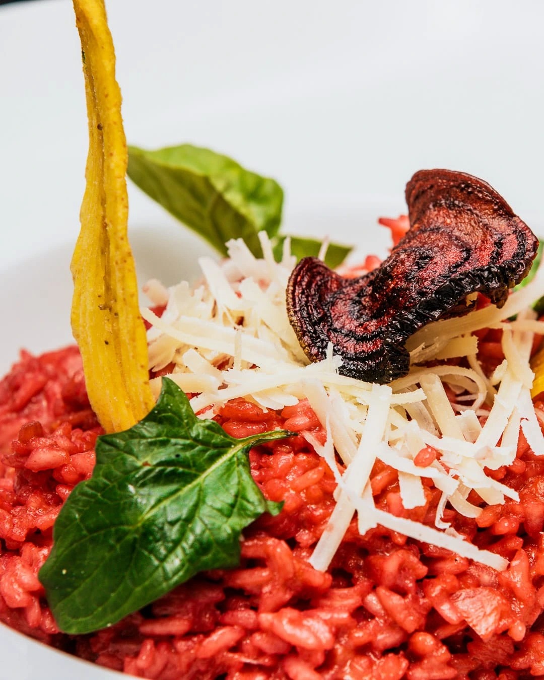 IMG-20230923-WA0221.jpg IMG-20230923-WA0221.jpg