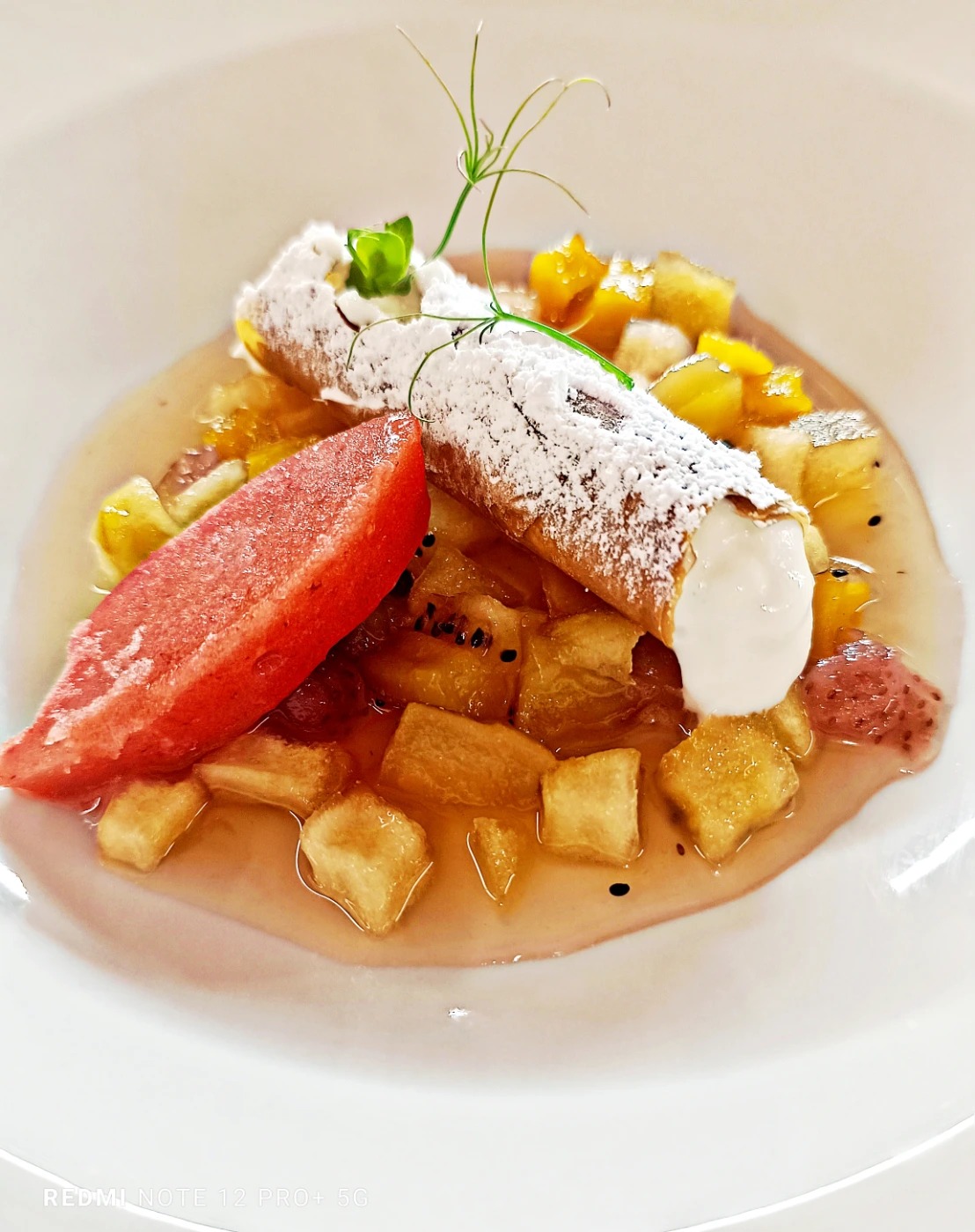 1000081980.jpg 1000081980.jpg