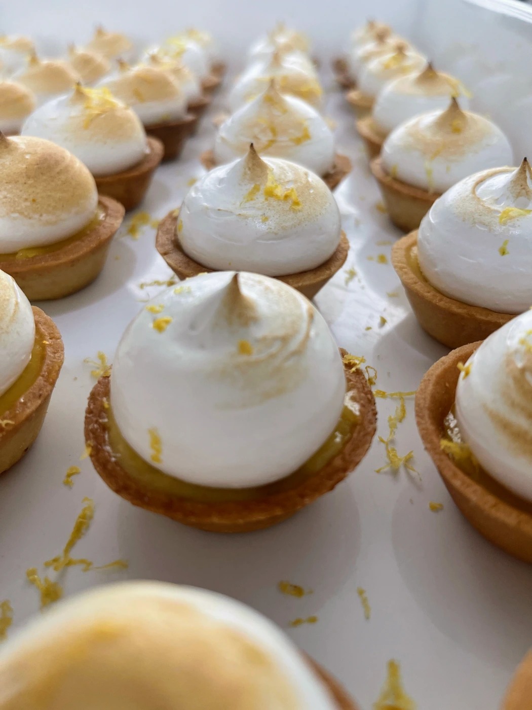 IMG_3816.jpg IMG_3816.jpg