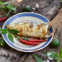 472315297_1127821015702247_4104789501660196499_n.jpg 472315297_1127821015702247_4104789501660196499_n.jpg