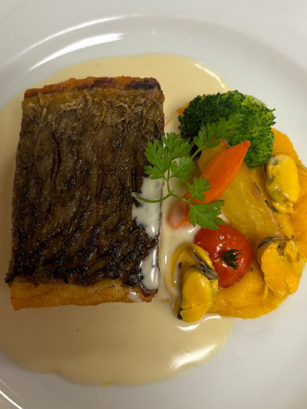 IMG_0458.jpeg IMG_0458.jpeg