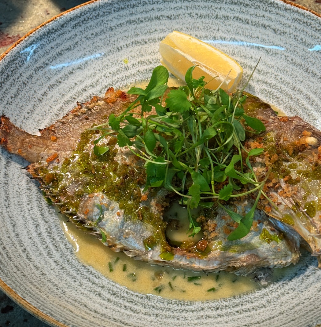 IMG_7243.jpeg IMG_7243.jpeg