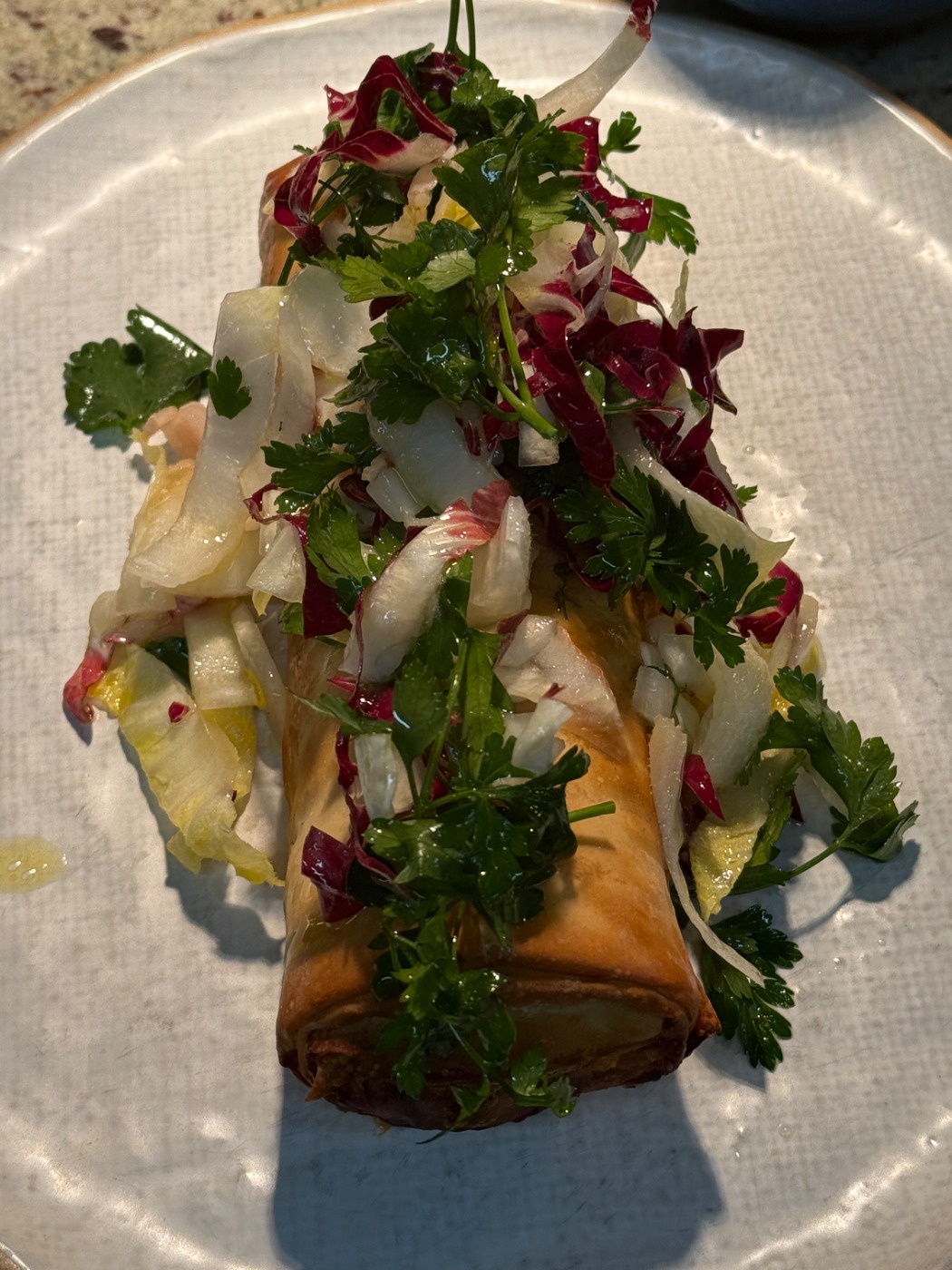 IMG_7241.jpeg IMG_7241.jpeg