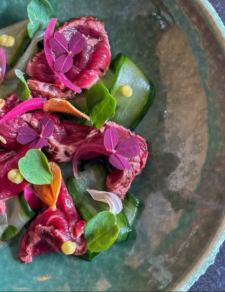 IMG_4137.jpeg IMG_4137.jpeg